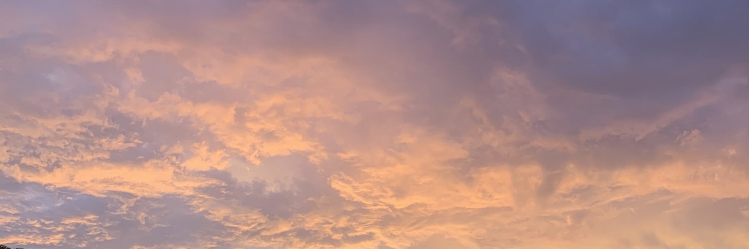 DanielaCayeros's profile banner image
