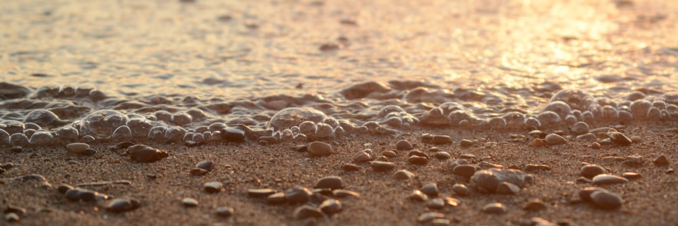 Alexis Shatrau banner