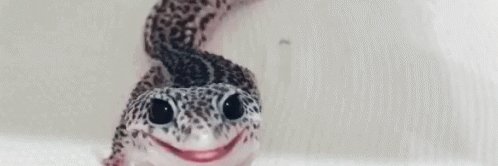 TinderArts 🔞 banner