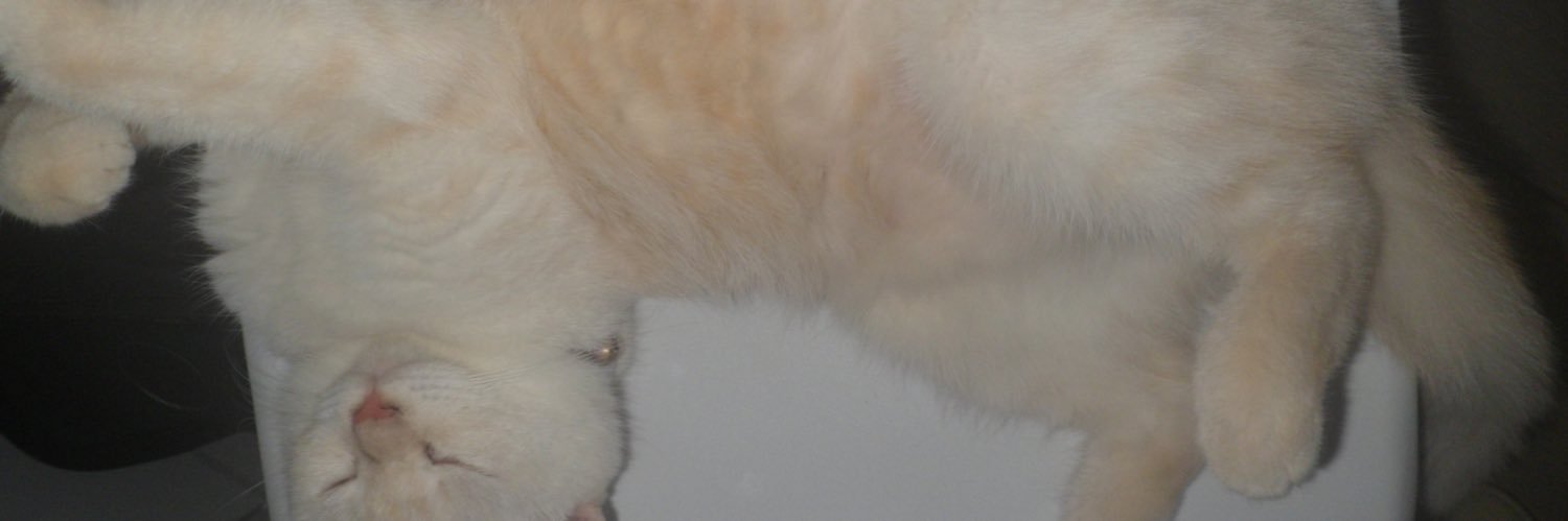 hersheylaid's profile banner image