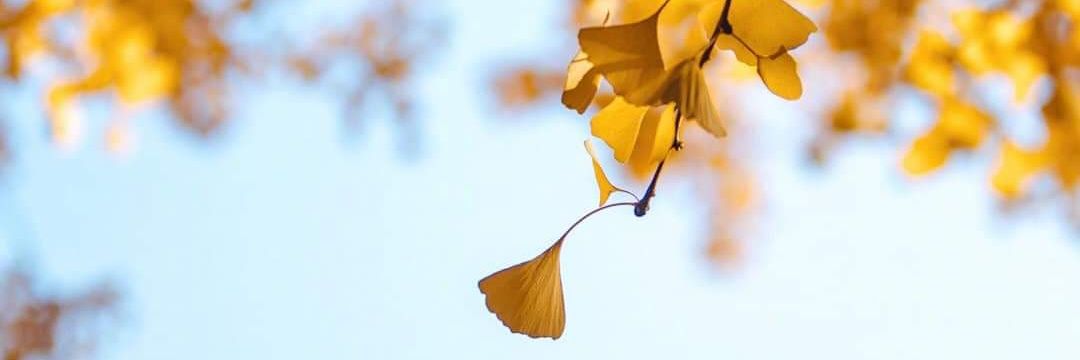 Hope44631566's profile banner image