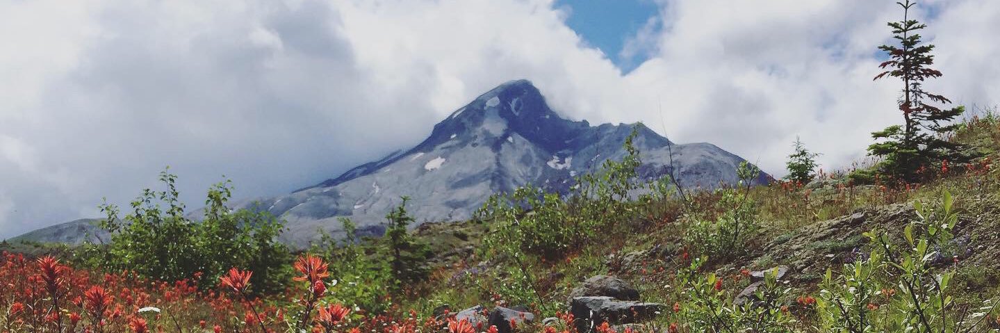LeaveWhatsHeavy's profile banner image