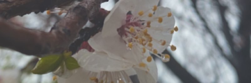 SemaXi13's profile banner image