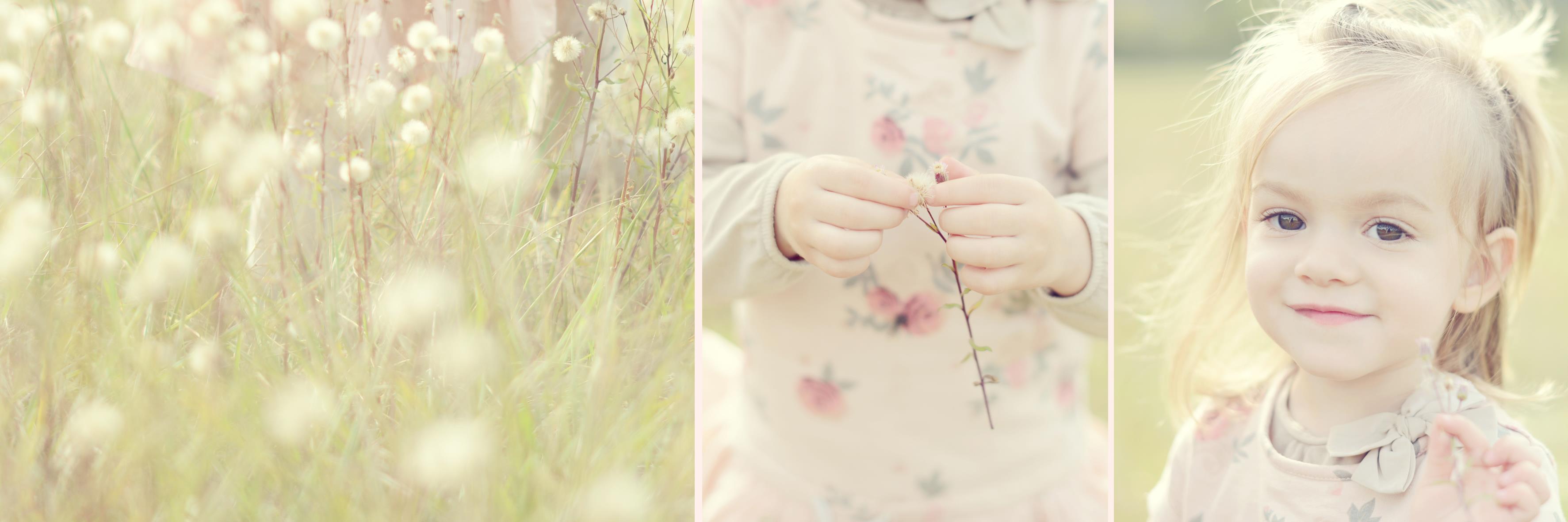 Mlaromantique's profile banner image