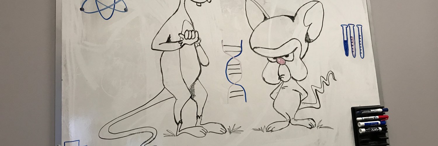 Michele Ardolino banner