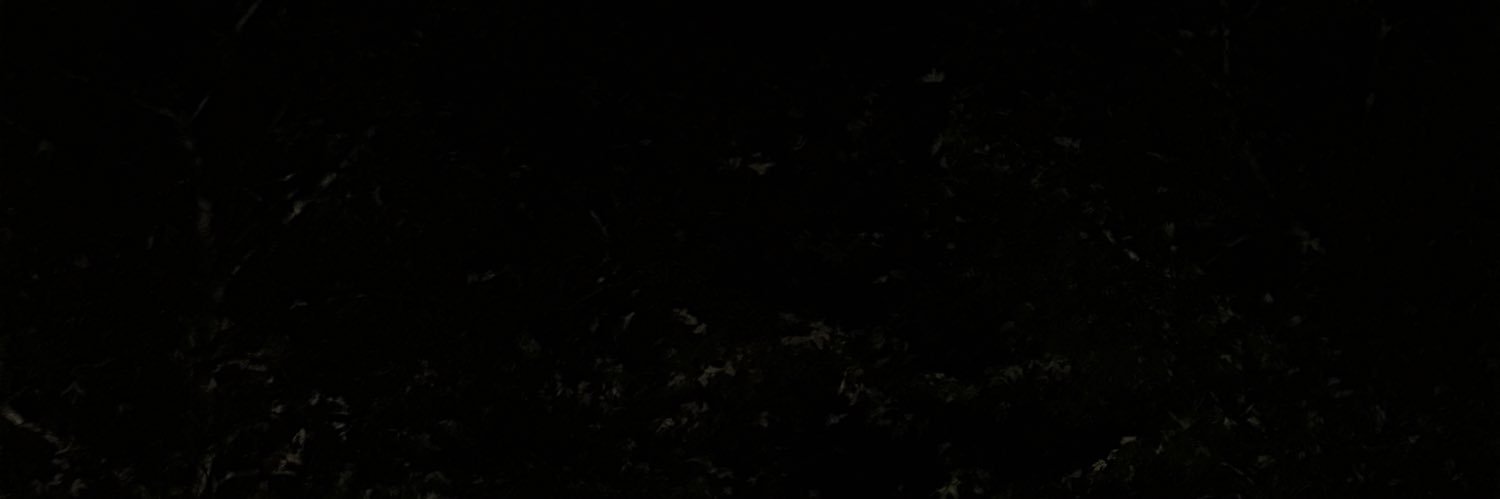 sailorslonaker's profile banner image