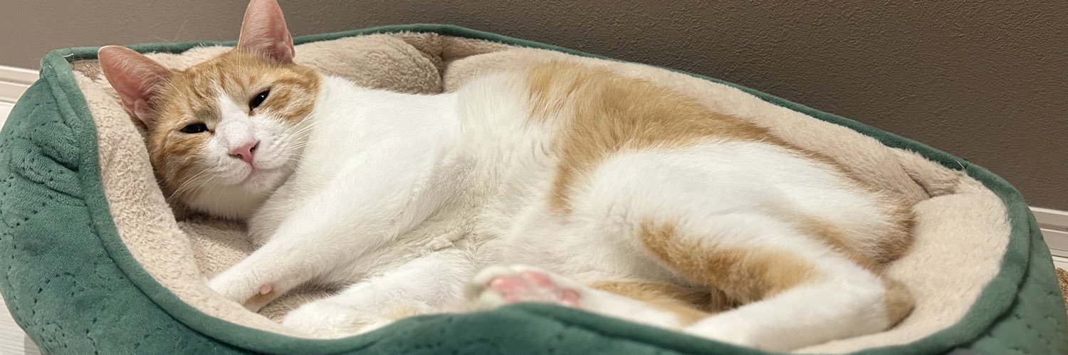 たけだこうじ banner