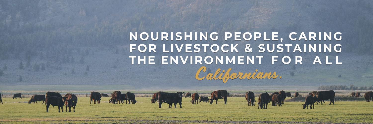 calcattlemen's profile banner image