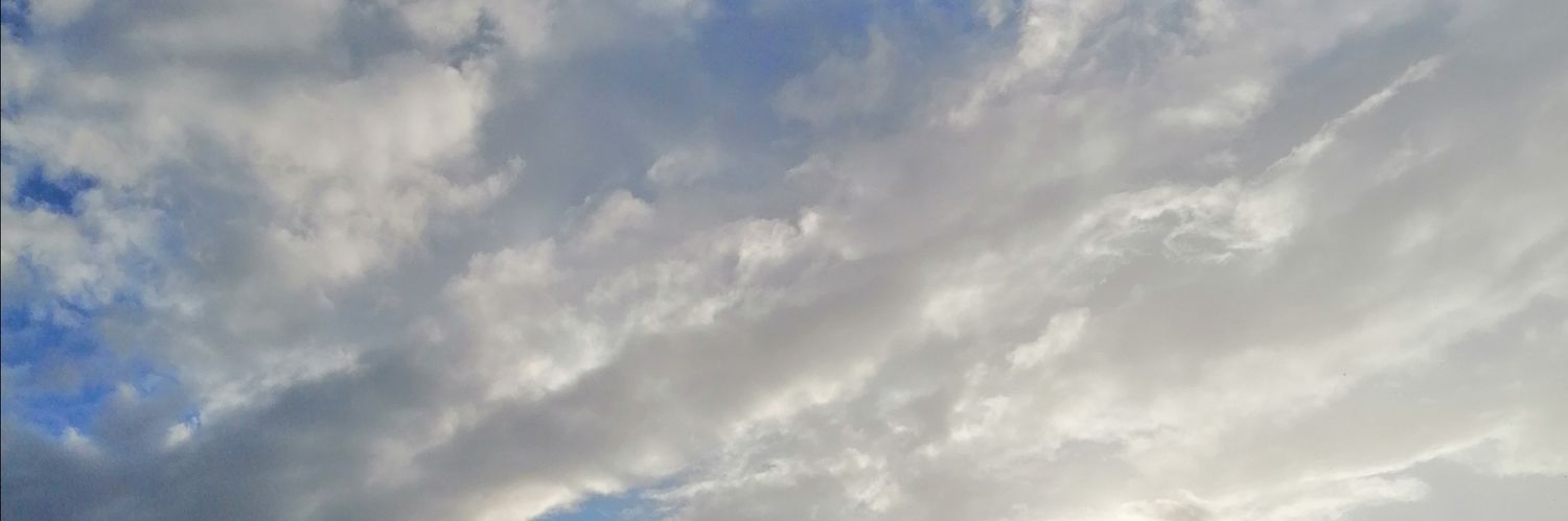 athena_Artemis's profile banner image