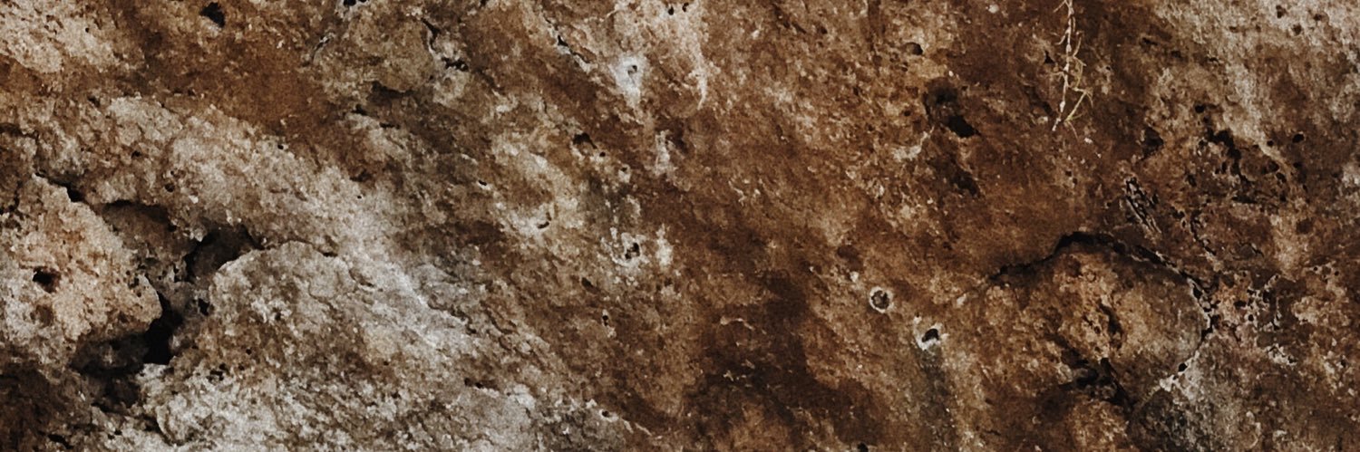 shadyshadae's profile banner image