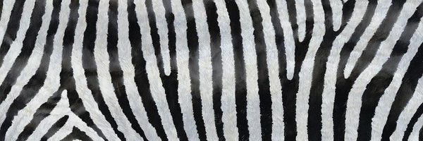 pswu11 Profile Banner