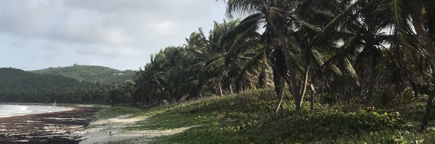SMADeinMQ's profile banner image