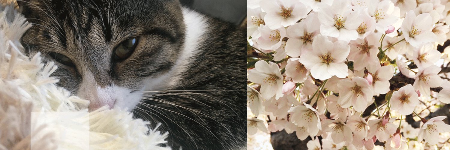 hinakings's profile banner image