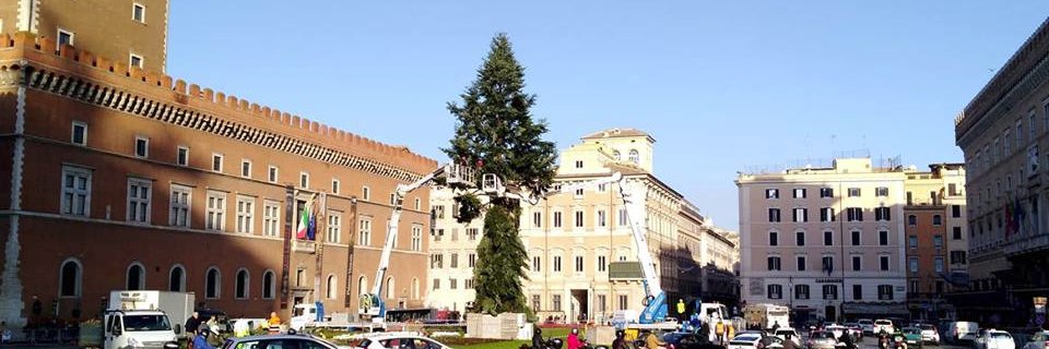 spezzacchio's profile banner image