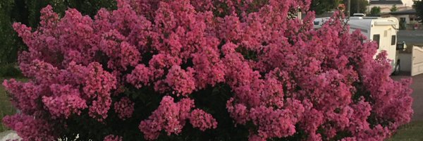 billon_yannick Profile Banner