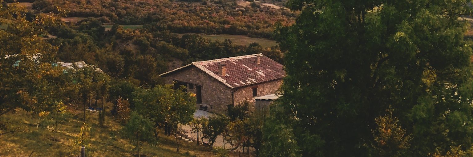 AlbaMoli04's profile banner image