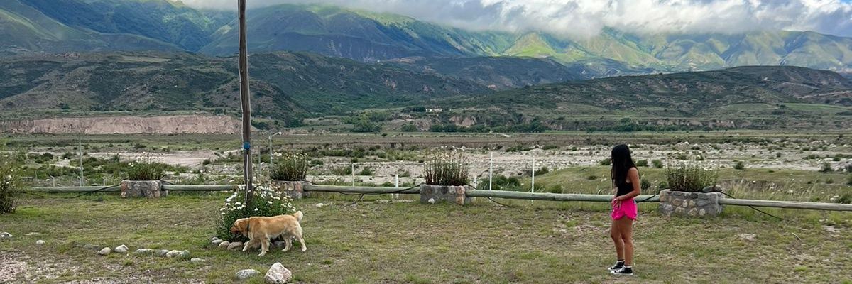canelammb's profile banner image