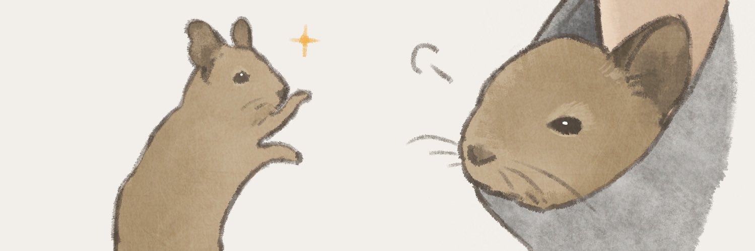 shochaco's profile banner image
