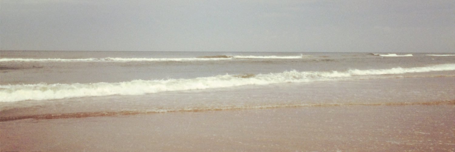 MichelleWed's profile banner image