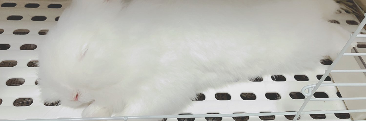 qazp30's profile banner image