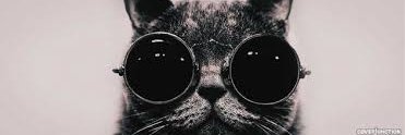 TERMITESGONE's profile banner image