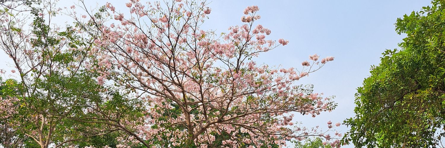 Fflower_yu's profile banner image