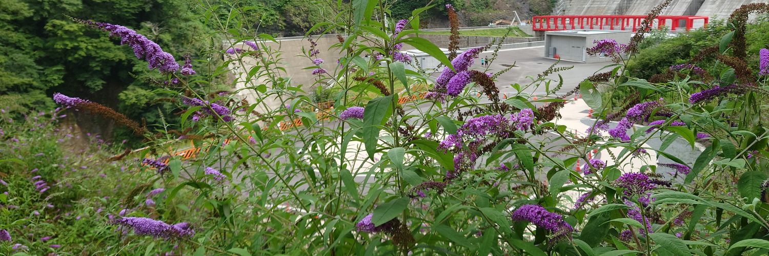 ゆうころりん banner