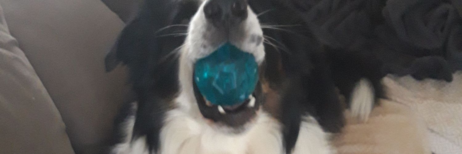 biologicman24's profile banner image