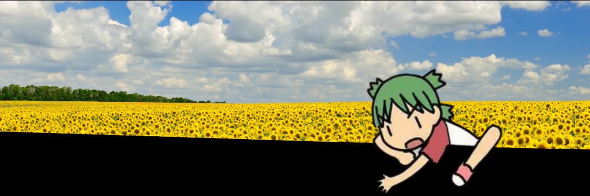 KC pilypily banner