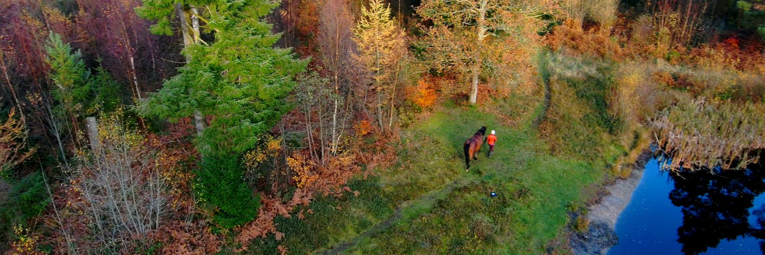 🐴 🌱 Forageplus 🌱🐴 banner