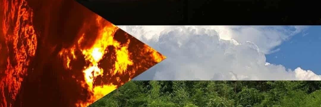 n.emo || 🇧🇩🇵🇸's banner