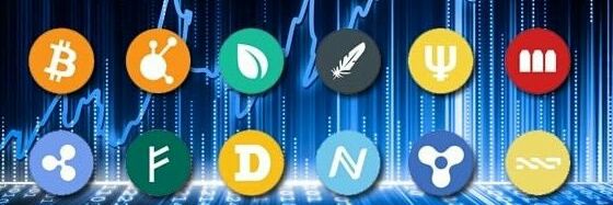 CryptoC22632426's profile banner image