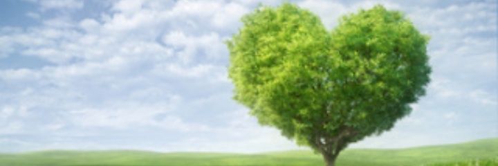 megami_1225's profile banner image
