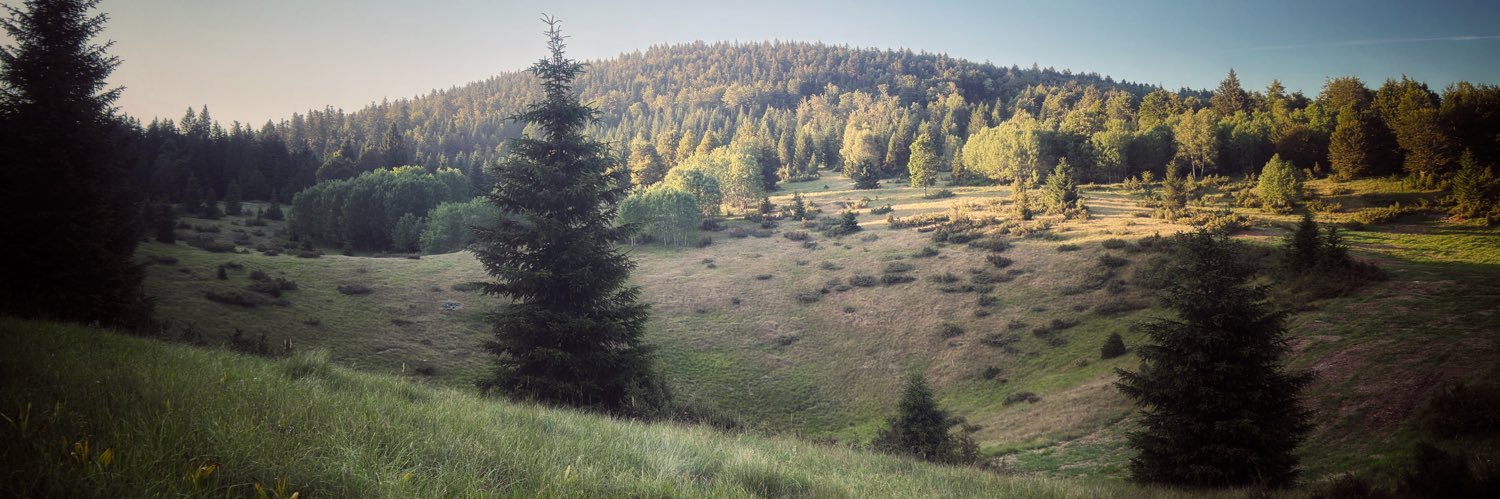 Deviant Weather Observer banner