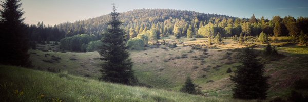 DeviantObserver Profile Banner