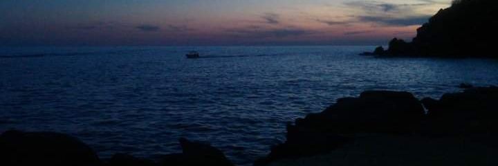 Nm221117's profile banner image
