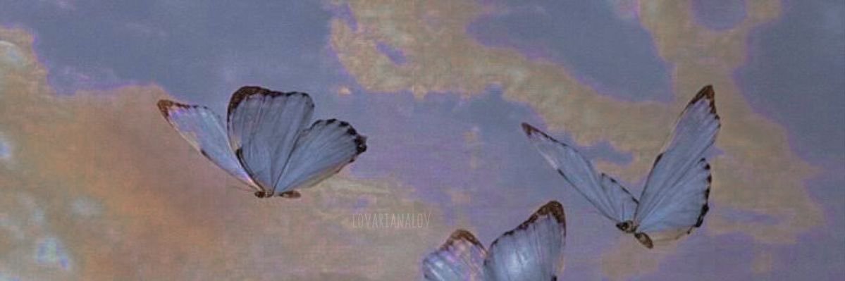 _zezenia_'s profile banner image