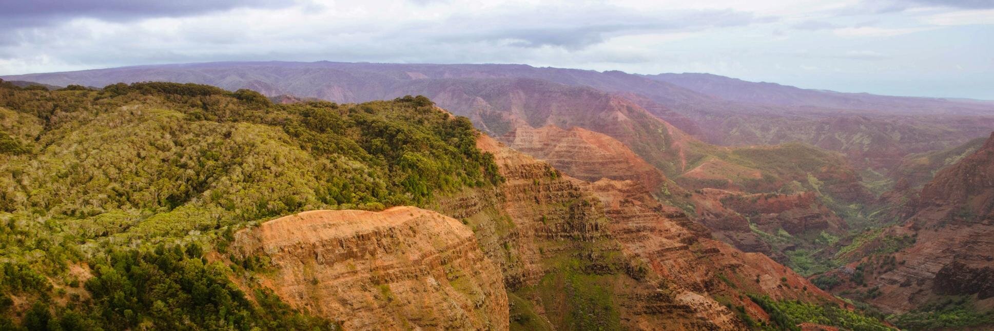 Seasonal Pun 🎨 banner