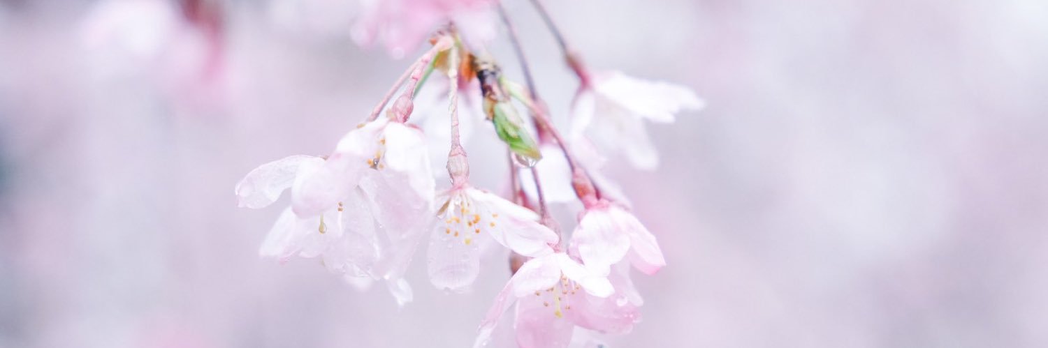 akinuinuinui's profile banner image