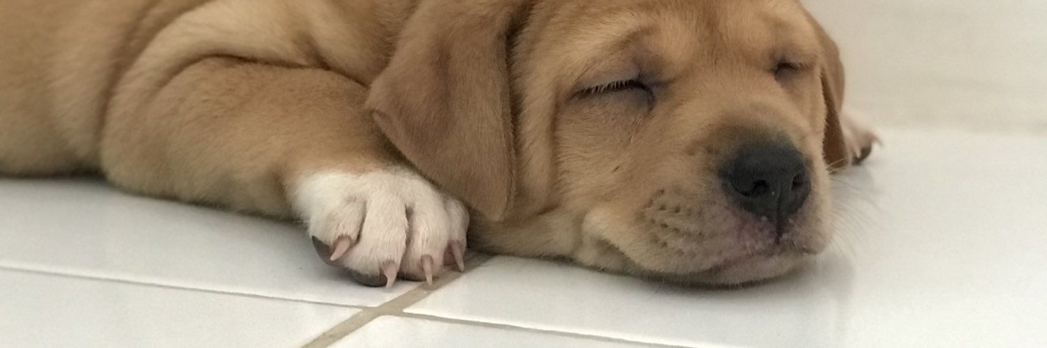 MaryTwinky's profile banner image