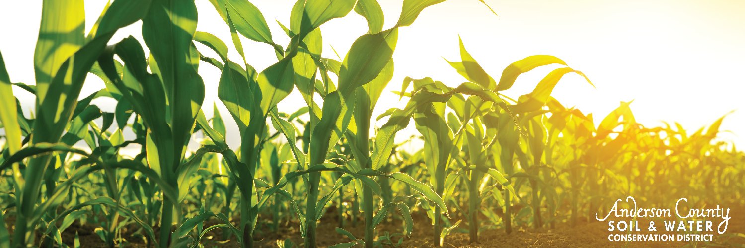 AndersonSwcd's profile banner image