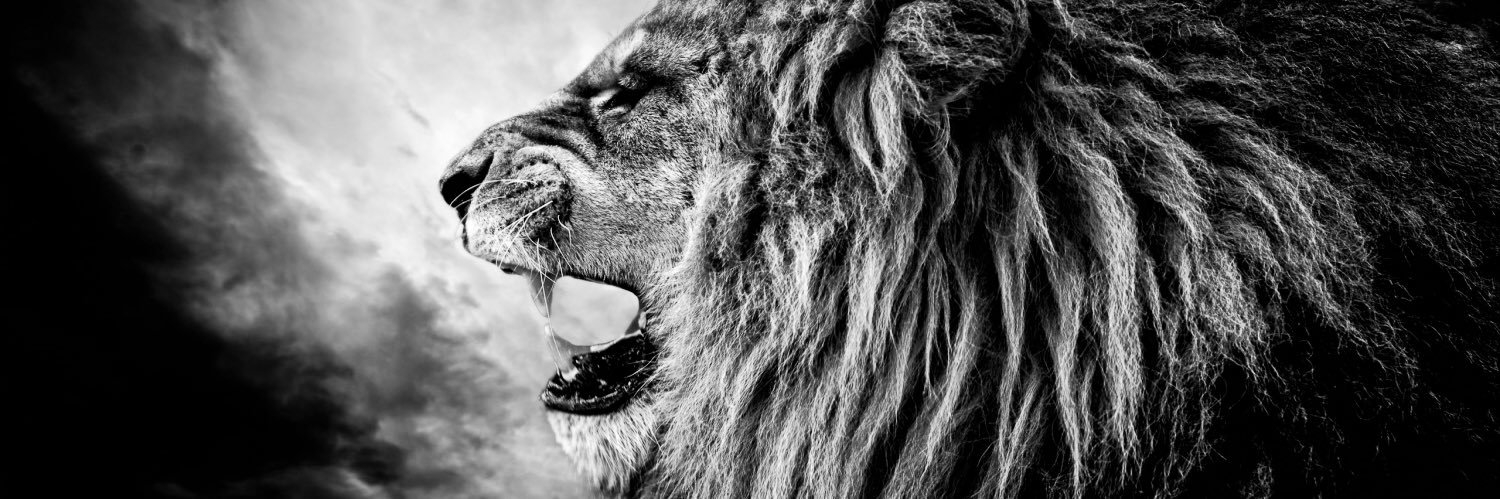 Jarrod Carlton banner