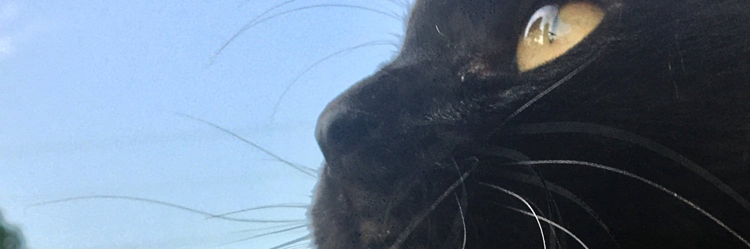 Dhaifinaasp's profile banner image