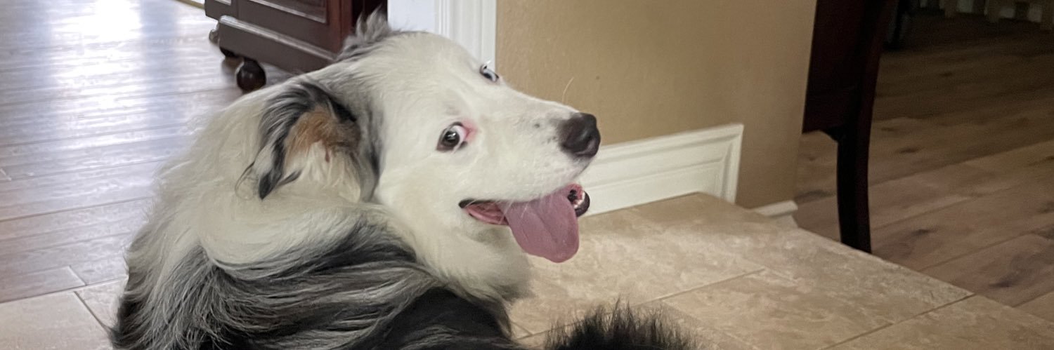 charrcharr13's profile banner image