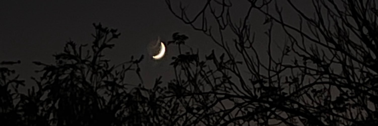 benahang's profile banner image