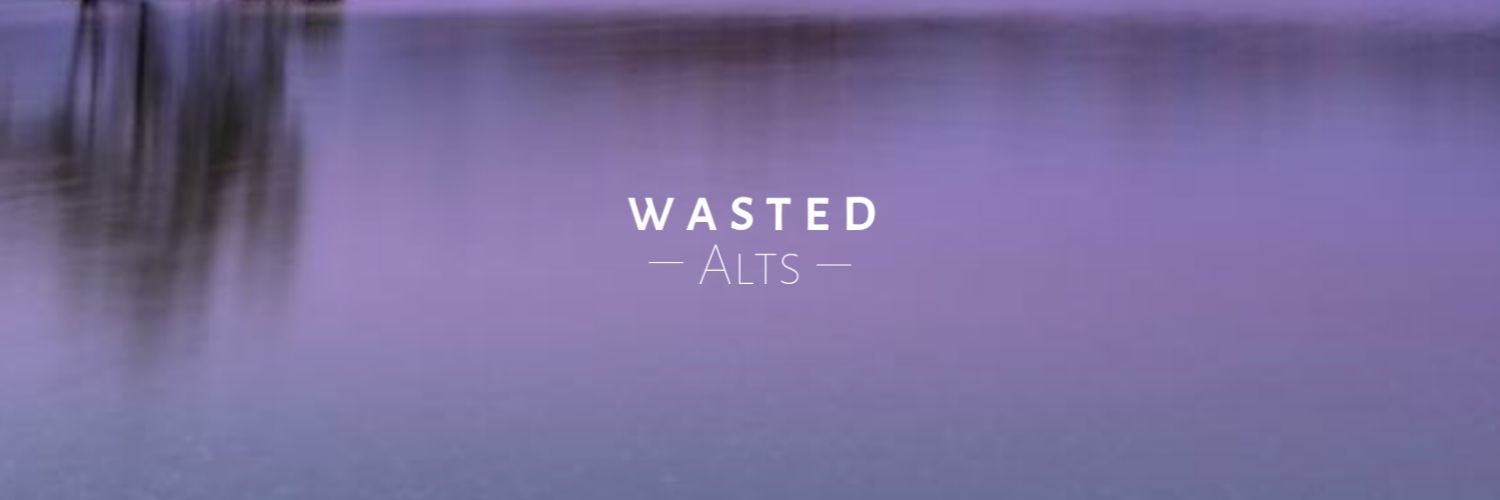 wastedAlts's profile banner image