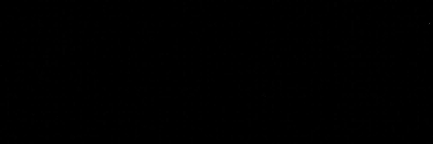 chitothechax's profile banner image
