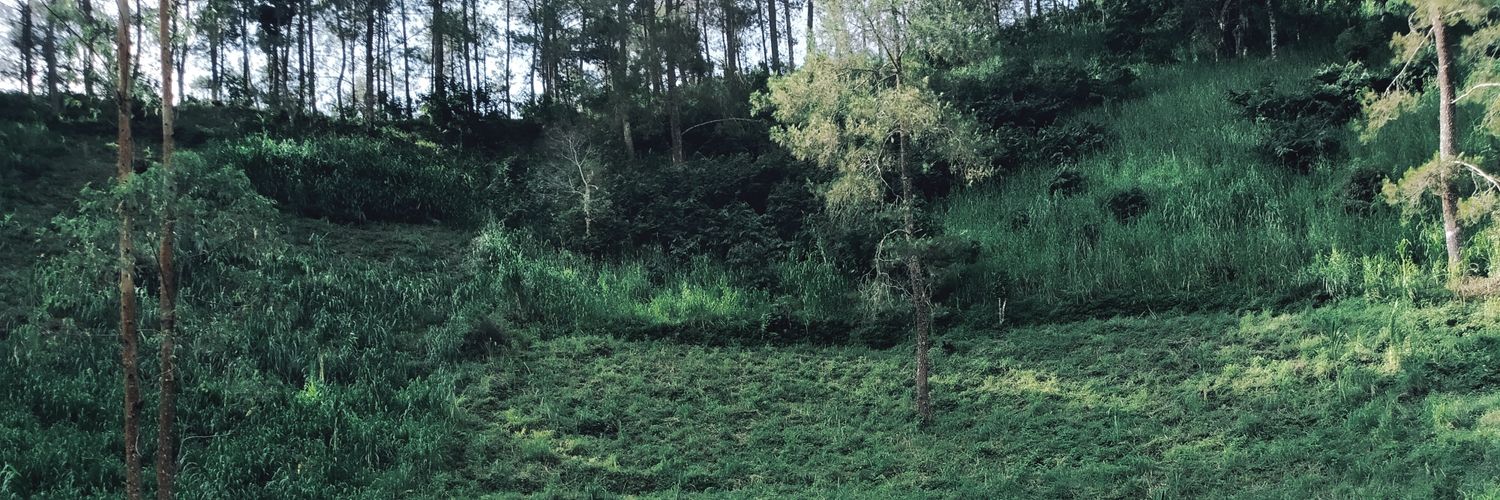 WABIDAR's profile banner image