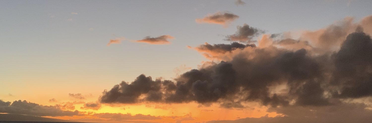 chelsrohmiller's profile banner image