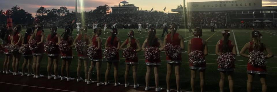 NFMHSCheering banner